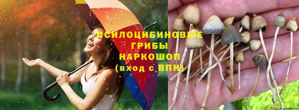 героин Алексин